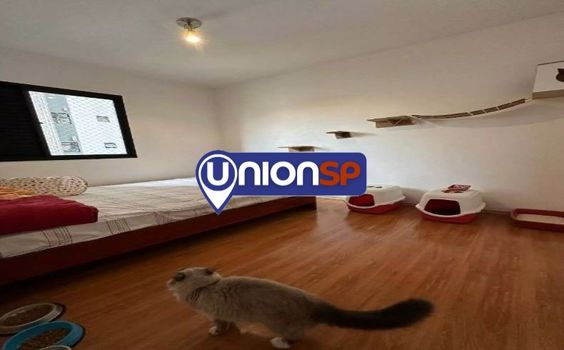 Foto 5 do(a) Apartamento de 3 quartos à venda em Sumarezinho, São Paulo