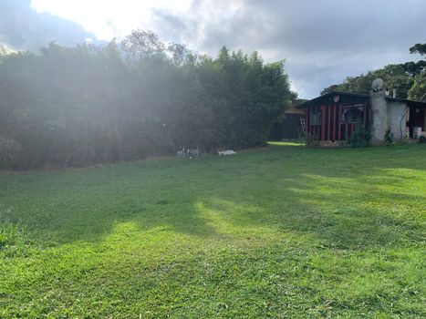 Foto 4 do(a) Fazenda / Sítio / Chácara de 1 quartos à venda em Área Rural de São José dos Pinhais, São José dos Pinhais