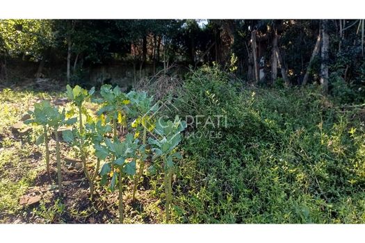 Foto 4 do(a) Fazenda / Sítio / Chácara false à venda em Jardim Amélia, Pinhais