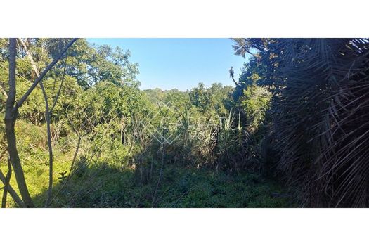 Foto 7 do(a) Fazenda / Sítio / Chácara false à venda em Jardim Amélia, Pinhais