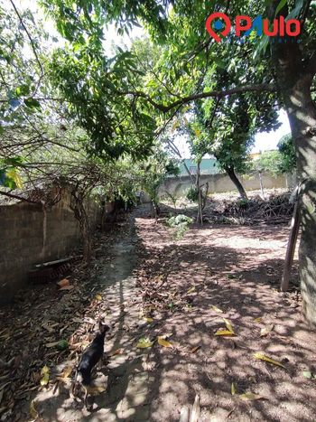 Foto 5 do(a) Casa de 3 quartos à venda em Jaraguá, Piracicaba