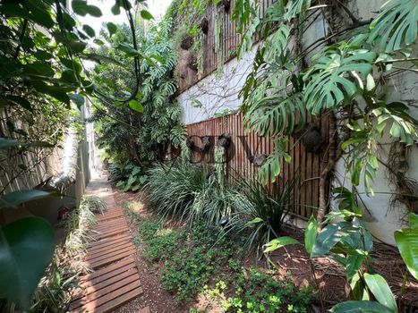 Foto 23 do(a) Casa de 4 quartos à venda em Jardim Petrópolis, São Paulo