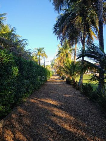 Foto 15 do(a) Fazenda / Sítio / Chácara de 3 quartos à venda em Centro, Lins