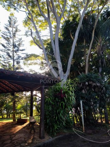 Foto 16 do(a) Fazenda / Sítio / Chácara de 3 quartos à venda em Centro, Lins