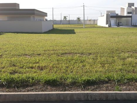 Foto 3 do(a) Terreno false à venda em Nossa Senhora Aparecida I, Saltinho
