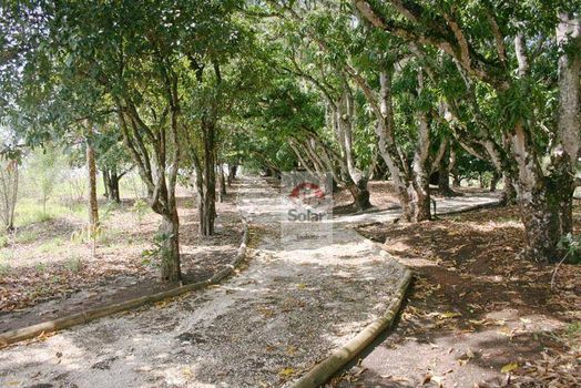 Foto 7 do(a) Terreno false à venda em Chácara São Félix, Taubaté