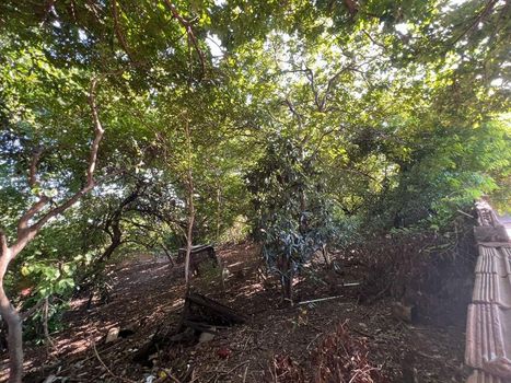 Foto 2 do(a) Terreno false à venda em Monte Carlo, Araçatuba