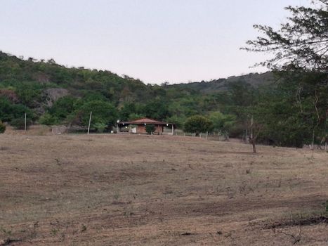 Foto 2 do(a) Fazenda / Sítio / Chácara de 3 quartos à venda em null, Palmeira de Fora