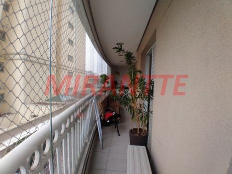 Foto 9 do(a) Apartamento de 3 quartos à venda em Jardim São Paulo(Zona Norte), São Paulo