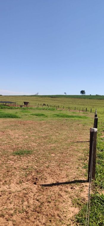 Foto 12 do(a) Fazenda / Sítio / Chácara de 3 quartos à venda em null, Presidente Castelo Branco