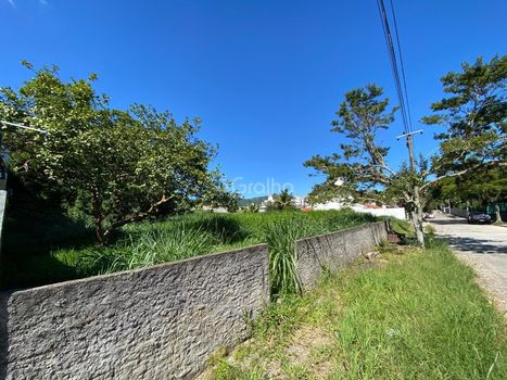 Foto 4 do(a) Terreno false à venda em Trindade, Florianópolis