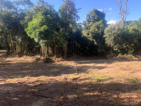 Foto 2 do(a) Terreno false à venda em Colonia Marcelino, São José dos Pinhais