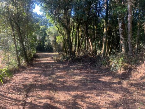Foto 15 do(a) Terreno false à venda em Colonia Marcelino, São José dos Pinhais