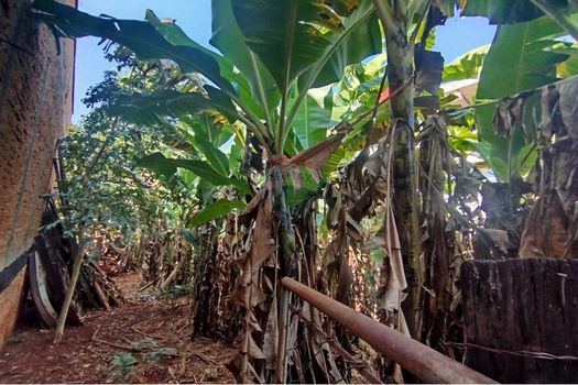 Foto 11 do(a) Terreno false à venda em Jardim Alvorada, Mogi Guaçu