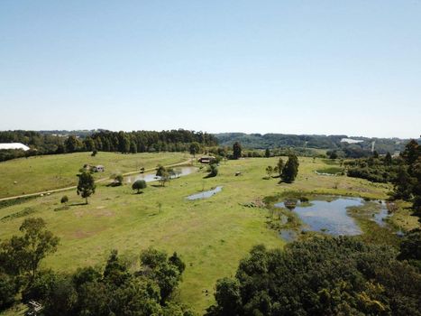 Foto 4 do(a) Fazenda / Sítio / Chácara false à venda em Área Rural de Farroupilha, Farroupilha