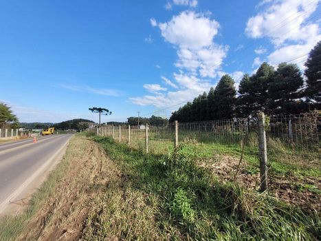 Foto 5 do(a) Terreno false à venda em Área Rural de Farroupilha, Farroupilha