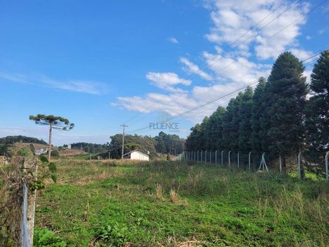 Foto 3 do(a) Terreno false à venda em Área Rural de Farroupilha, Farroupilha