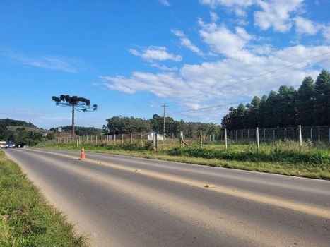 Foto 4 do(a) Terreno false à venda em Área Rural de Farroupilha, Farroupilha