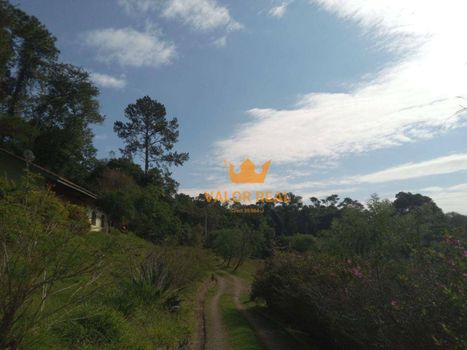 Foto 22 do(a) Fazenda / Sítio / Chácara de 15 quartos à venda em Chácara São João, Campo Limpo Paulista