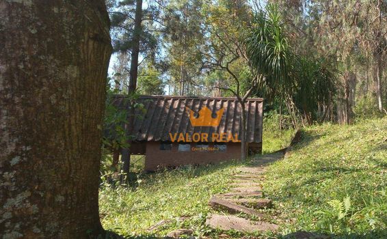 Foto 36 do(a) Fazenda / Sítio / Chácara de 15 quartos à venda em Chácara São João, Campo Limpo Paulista