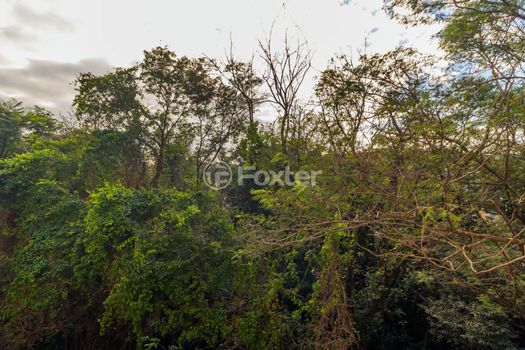 Foto 3 do(a) Apartamento de 1 quartos à venda em Três Figueiras, Porto Alegre