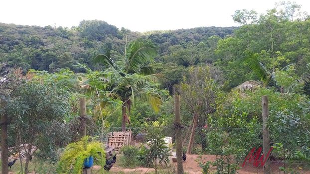 Foto 26 do(a) Fazenda / Sítio / Chácara de 2 quartos à venda em Pavão (Canguera), São Roque