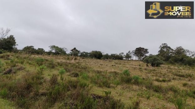 Foto 4 do(a) Fazenda / Sítio / Chácara de 4 quartos à venda em null, Canguçu