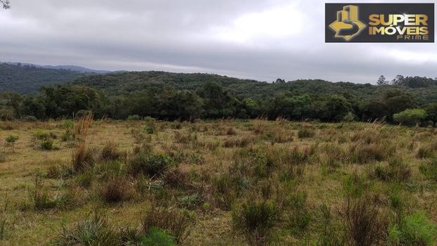 Foto 6 do(a) Fazenda / Sítio / Chácara de 4 quartos à venda em null, Canguçu