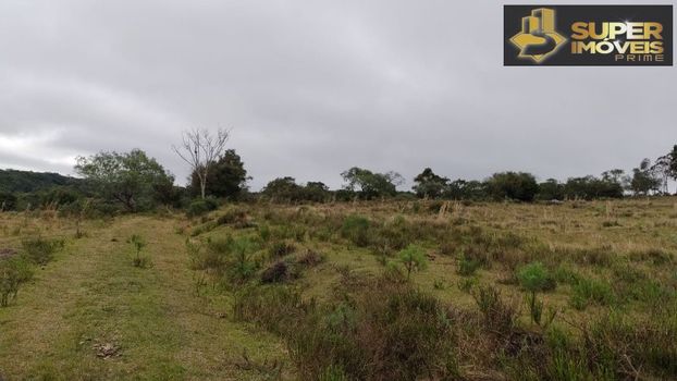 Foto 2 do(a) Fazenda / Sítio / Chácara de 4 quartos à venda em null, Canguçu