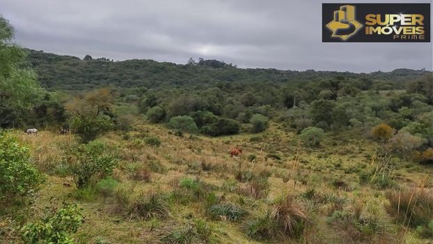 Foto 3 do(a) Fazenda / Sítio / Chácara de 4 quartos à venda em null, Canguçu