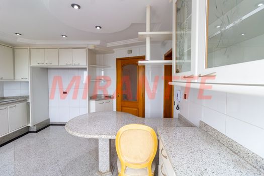 Foto 34 do(a) Cobertura de 4 quartos à venda em Vila Paulicéia, São Paulo