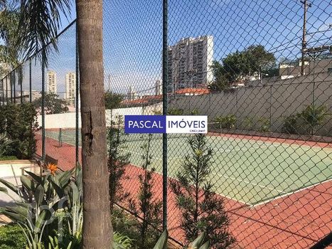 Foto 23 do(a) Apartamento de 3 quartos à venda em Jardim Aeroporto, São Paulo