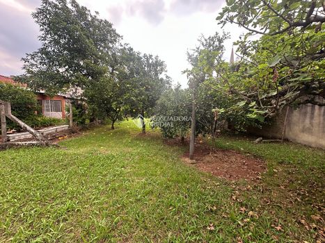 Foto 34 do(a) Casa de 3 quartos à venda em null, Dois Irmãos