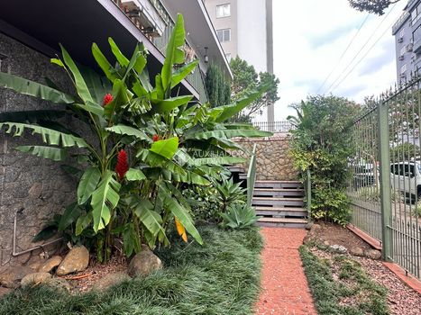 Foto 40 do(a) Casa de 3 quartos à venda em null, Dois Irmãos