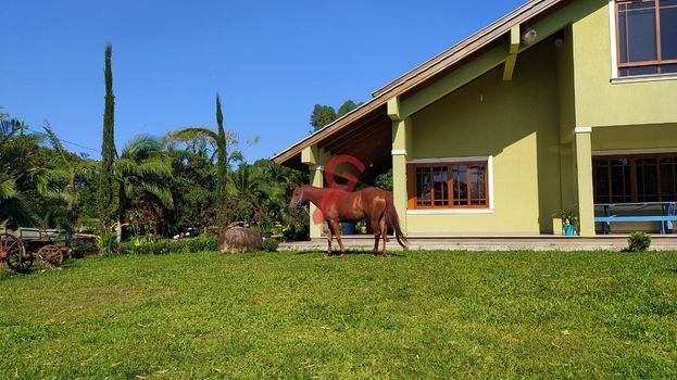 Foto 2 do(a) Fazenda / Sítio / Chácara de 4 quartos à venda em Zootecnia, Montenegro