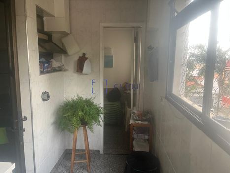 Foto 5 do(a) Apartamento de 3 quartos para alugar em Vila Brasilina, São Paulo