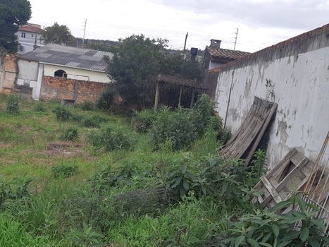 Foto 4 do(a) Terreno false à venda em Jardim Maristela, Criciúma