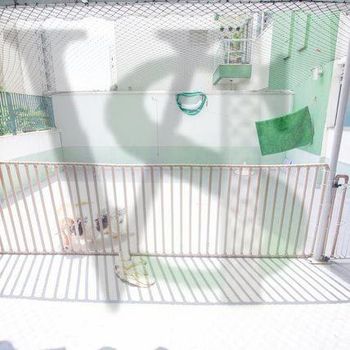 Foto 14 do(a) Apartamento de 3 quartos à venda em Vila Amélia, São Paulo