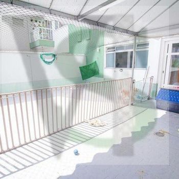 Foto 15 do(a) Apartamento de 3 quartos à venda em Vila Amélia, São Paulo