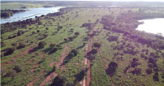 Foto 24 do(a) Fazenda / Sítio / Chácara false à venda em null, Tiros