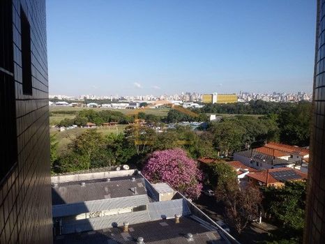 Foto 16 do(a) Apartamento de 5 quartos à venda em Santana, São Paulo