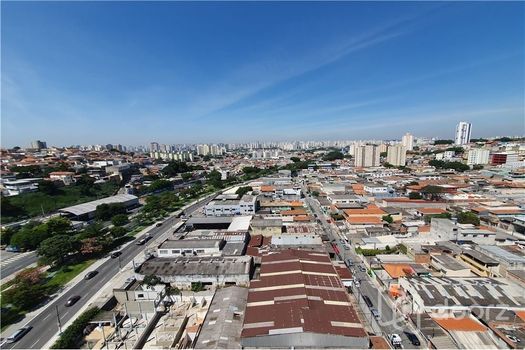 Foto 11 do(a) Apartamento de 3 quartos à venda em Limão, São Paulo