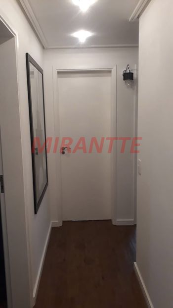 Foto 7 do(a) Apartamento de 3 quartos à venda em Vila Paulicéia, São Paulo