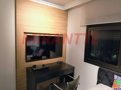 Foto 16 do(a) Apartamento de 3 quartos à venda em Vila Paulicéia, São Paulo