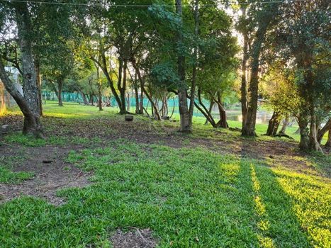 Foto 13 do(a) Fazenda / Sítio / Chácara de 3 quartos à venda em Loteamento Rural Palermo, Gravataí