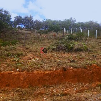 Foto 3 do(a) Terreno false à venda em null, Santana do Riacho