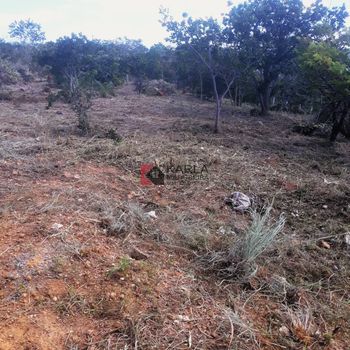 Foto 4 do(a) Terreno false à venda em null, Santana do Riacho