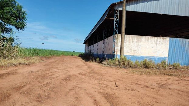 Foto 6 do(a) Fazenda / Sítio / Chácara false à venda em Área Rural de Iacanga, Iacanga
