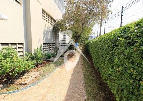 Foto 4 do(a) Apartamento de 3 quartos para alugar em Parque Maria Luiza, São Paulo