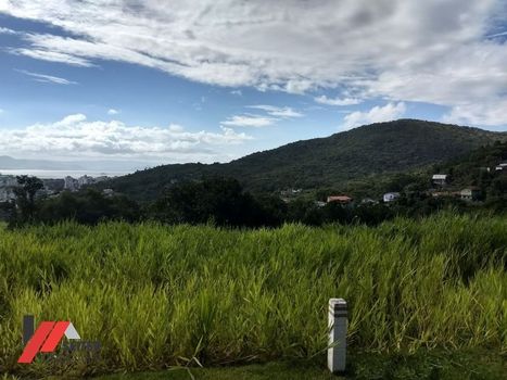 Foto 20 do(a) Casa em Condomínio false à venda em Itacorubi, Florianópolis